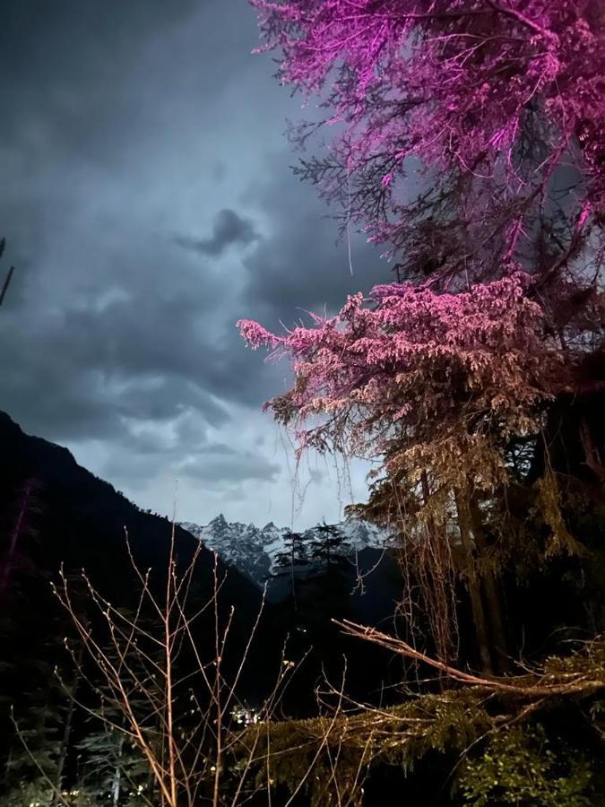 Kasol Jungle Retreat Hotel Buitenkant foto